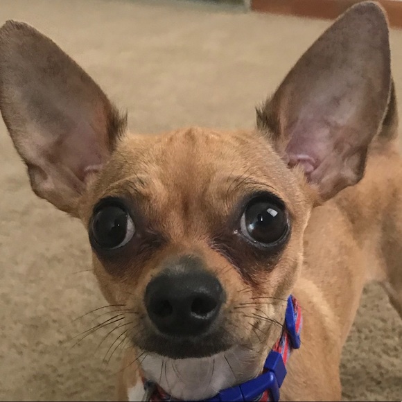 charlieayers